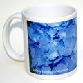 hydrangea blue mug 0227